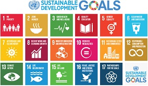 Call for Examples: SDGs Good Practices