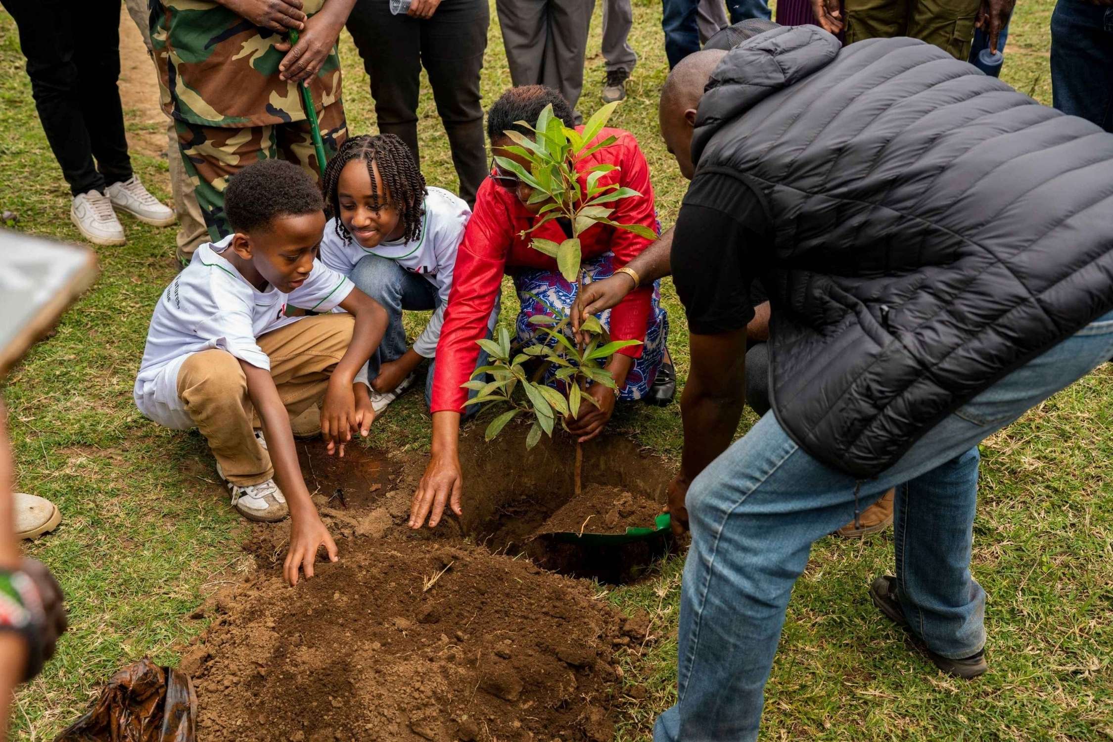 Tree planting