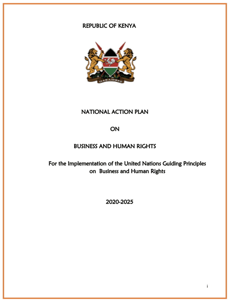 Implementing the National Action Plan on Business and Human Rights- The pathway to business respect for human rights
